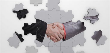 湖南軟件外包服務(wù)市場(chǎng) 探尋專(zhuān)業(yè)程度高的服務(wù)公司