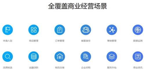 賣(mài)家版阿里旺旺軟件介紹與插件查看方法指南